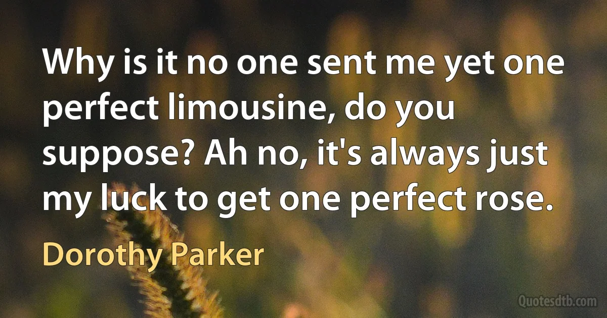 Why is it no one sent me yet one perfect limousine, do you suppose? Ah no, it's always just my luck to get one perfect rose. (Dorothy Parker)