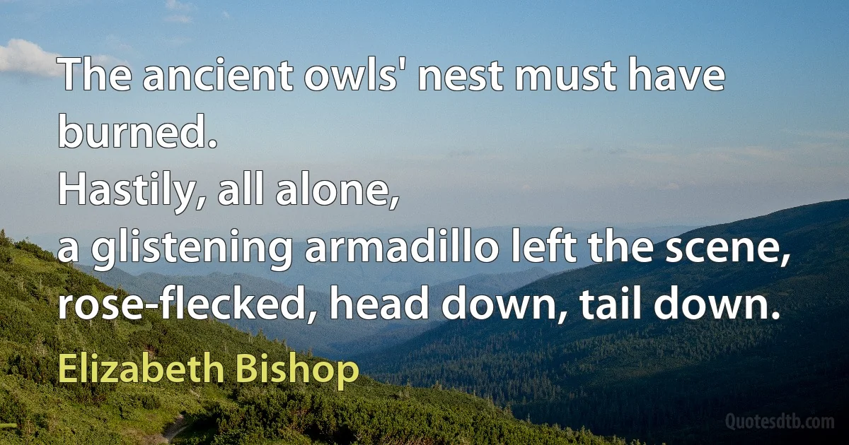 The ancient owls' nest must have burned.
Hastily, all alone,
a glistening armadillo left the scene,
rose-flecked, head down, tail down. (Elizabeth Bishop)