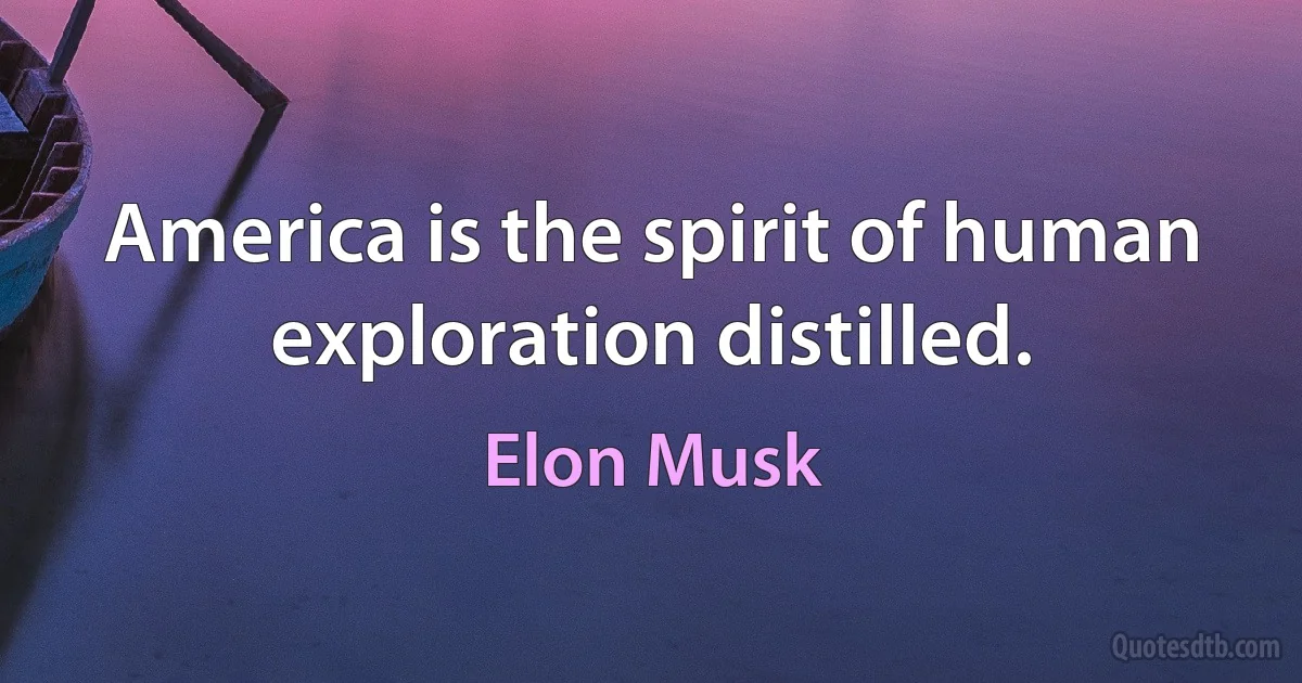 America is the spirit of human exploration distilled. (Elon Musk)