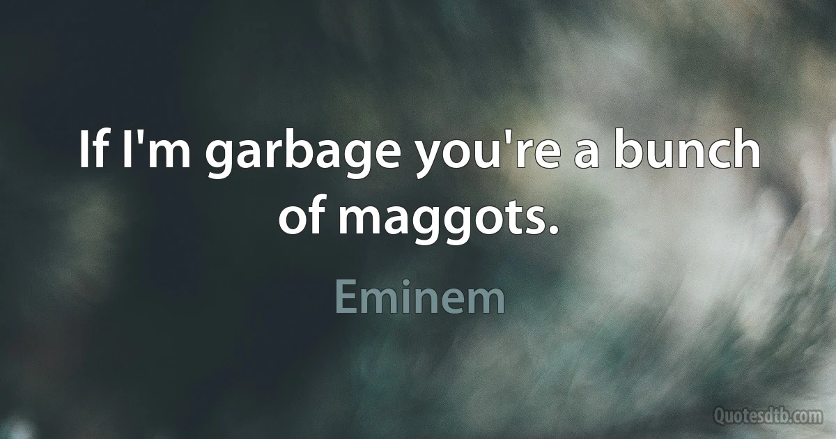 If I'm garbage you're a bunch of maggots. (Eminem)