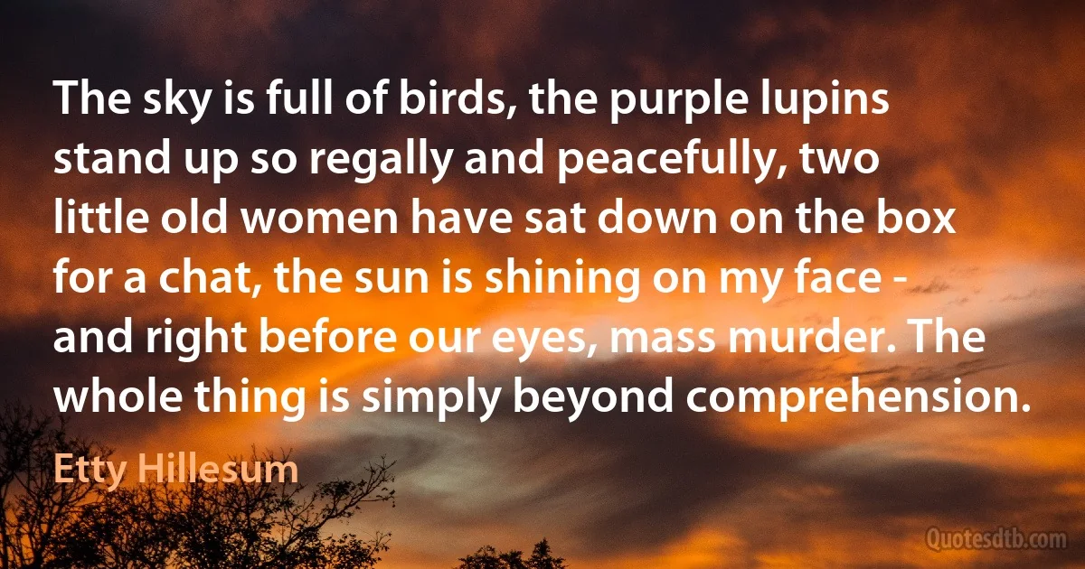 The sky is full of birds, the purple lupins stand up so regally and peacefully, two little old women have sat down on the box for a chat, the sun is shining on my face - and right before our eyes, mass murder. The whole thing is simply beyond comprehension. (Etty Hillesum)