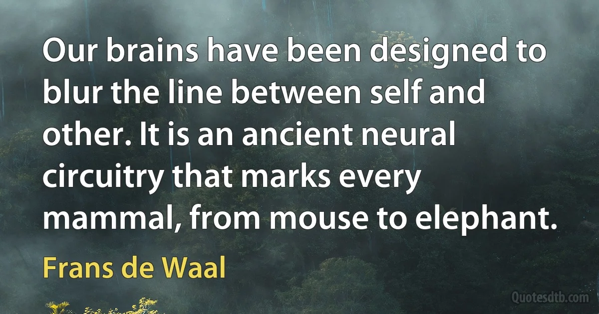 Our brains have been designed to blur the line between self and other. It is an ancient neural circuitry that marks every mammal, from mouse to elephant. (Frans de Waal)