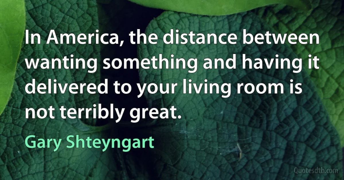 In America, the distance between wanting something and having it delivered to your living room is not terribly great. (Gary Shteyngart)