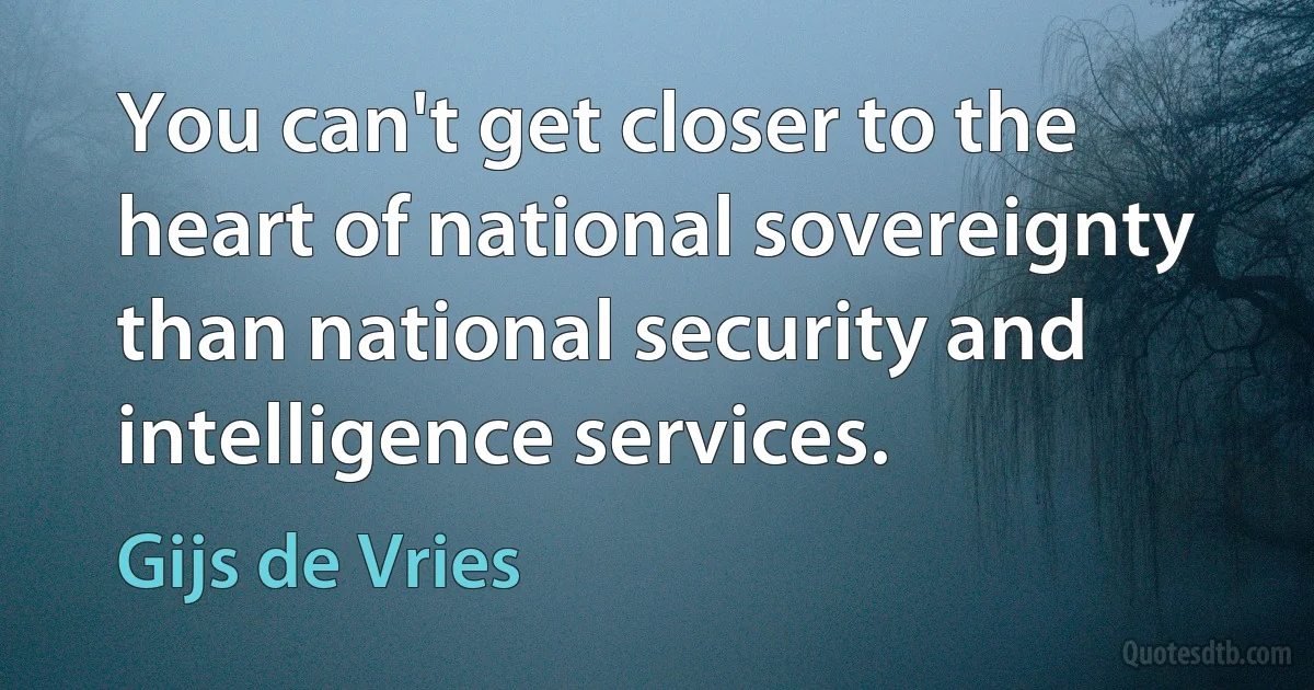 You can't get closer to the heart of national sovereignty than national security and intelligence services. (Gijs de Vries)