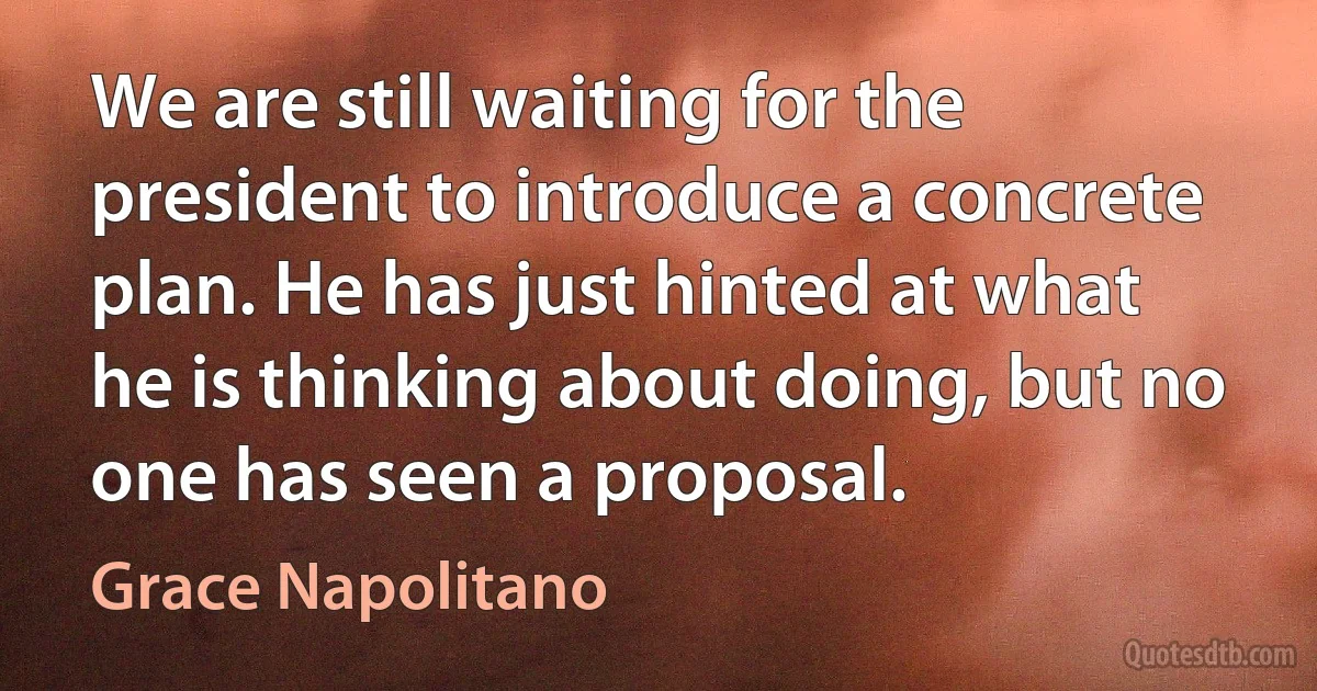 We are still waiting for the president to introduce a concrete plan. He has just hinted at what he is thinking about doing, but no one has seen a proposal. (Grace Napolitano)