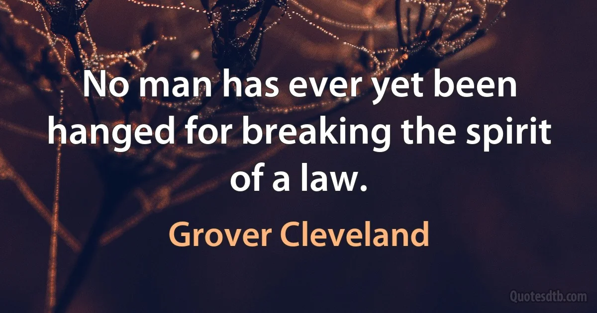 No man has ever yet been hanged for breaking the spirit of a law. (Grover Cleveland)