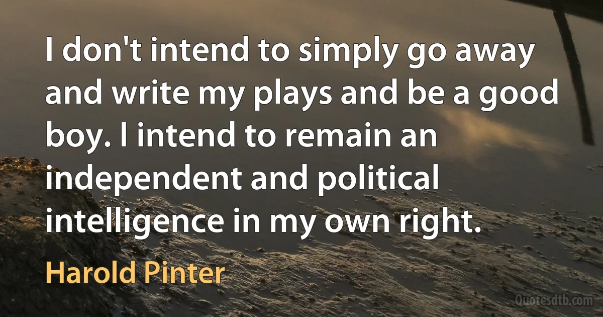 I don't intend to simply go away and write my plays and be a good boy. I intend to remain an independent and political intelligence in my own right. (Harold Pinter)