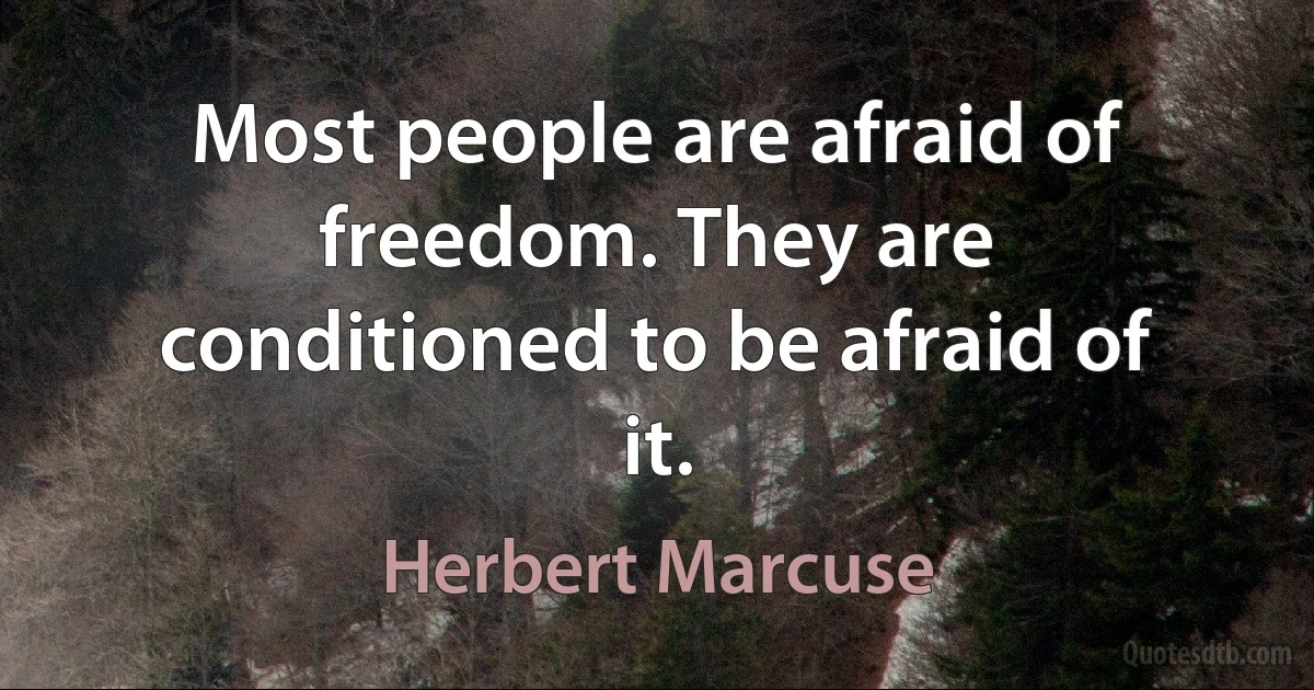 Most people are afraid of freedom. They are conditioned to be afraid of it. (Herbert Marcuse)