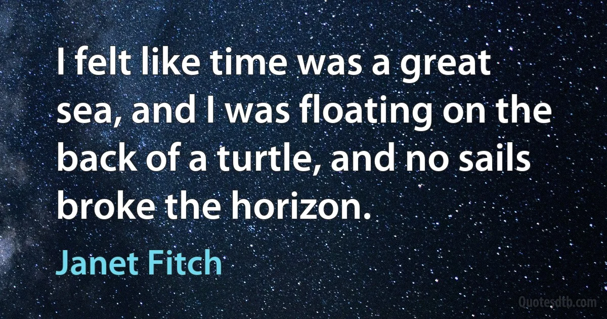 I felt like time was a great sea, and I was floating on the back of a turtle, and no sails broke the horizon. (Janet Fitch)