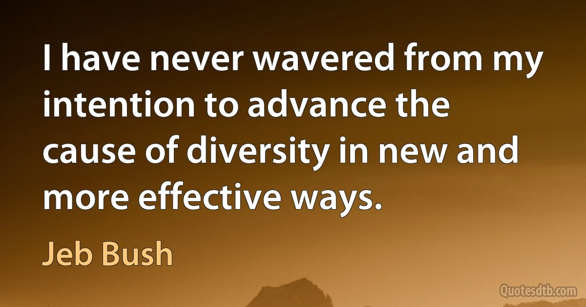 I have never wavered from my intention to advance the cause of diversity in new and more effective ways. (Jeb Bush)