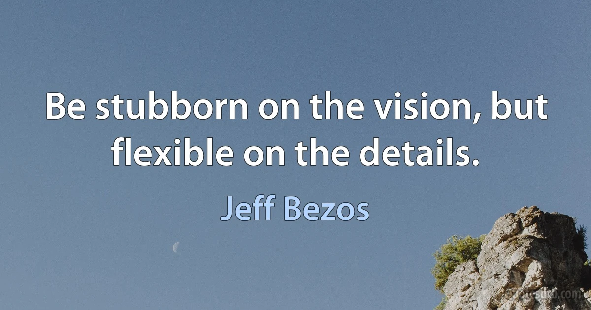 Be stubborn on the vision, but flexible on the details. (Jeff Bezos)