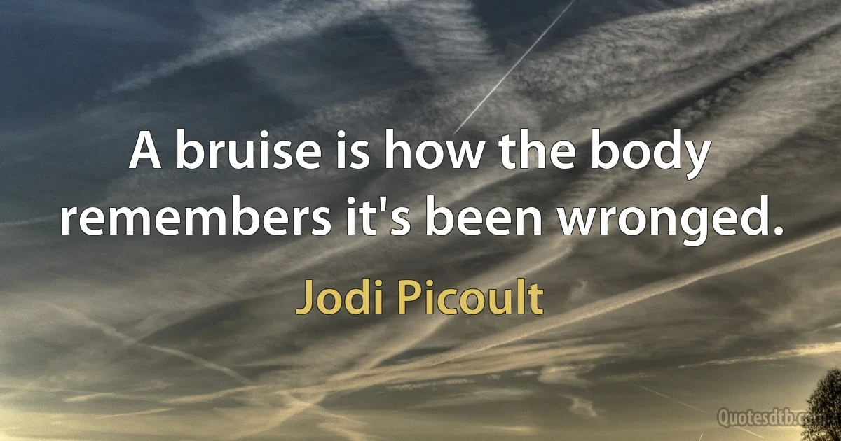 A bruise is how the body remembers it's been wronged. (Jodi Picoult)