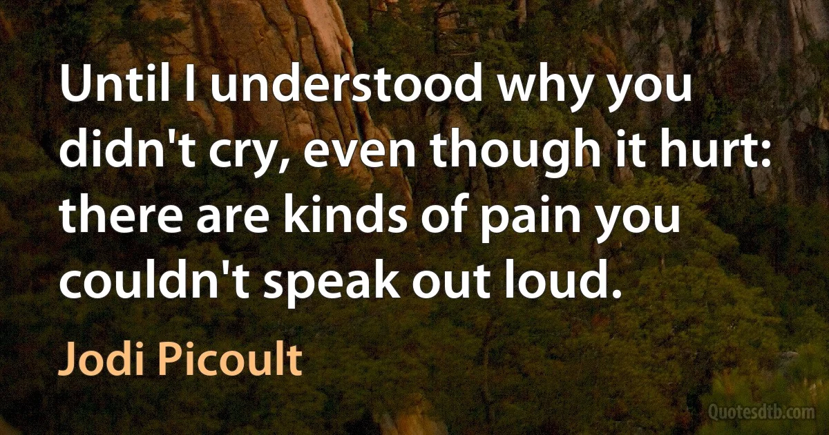 Until I understood why you didn't cry, even though it hurt: there are kinds of pain you couldn't speak out loud. (Jodi Picoult)