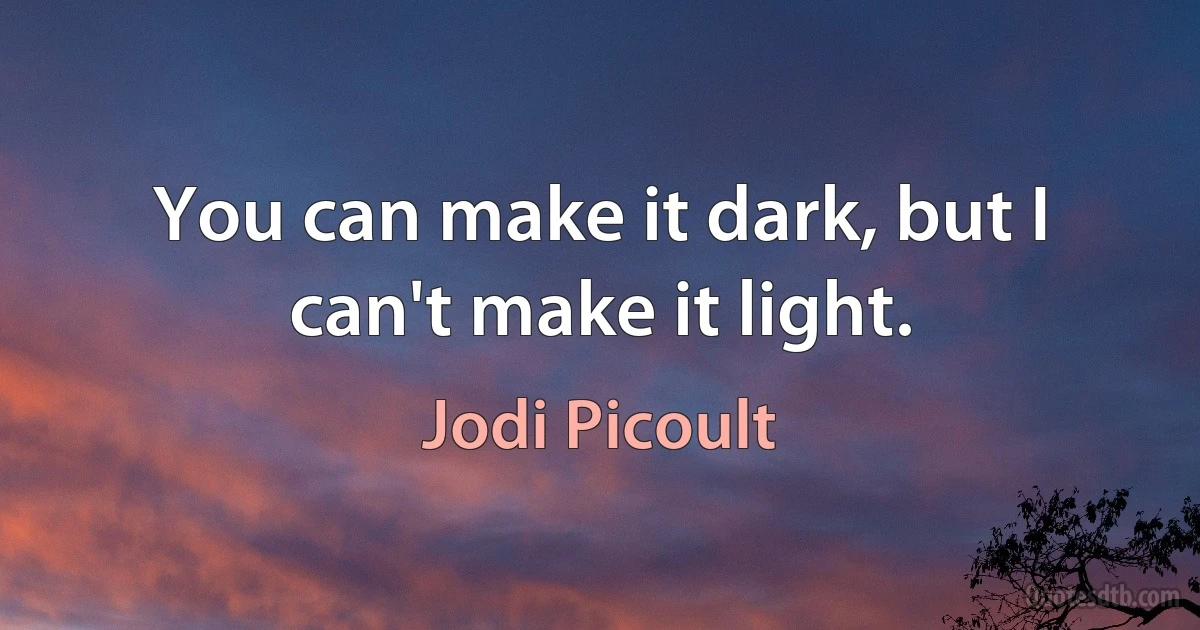 You can make it dark, but I can't make it light. (Jodi Picoult)