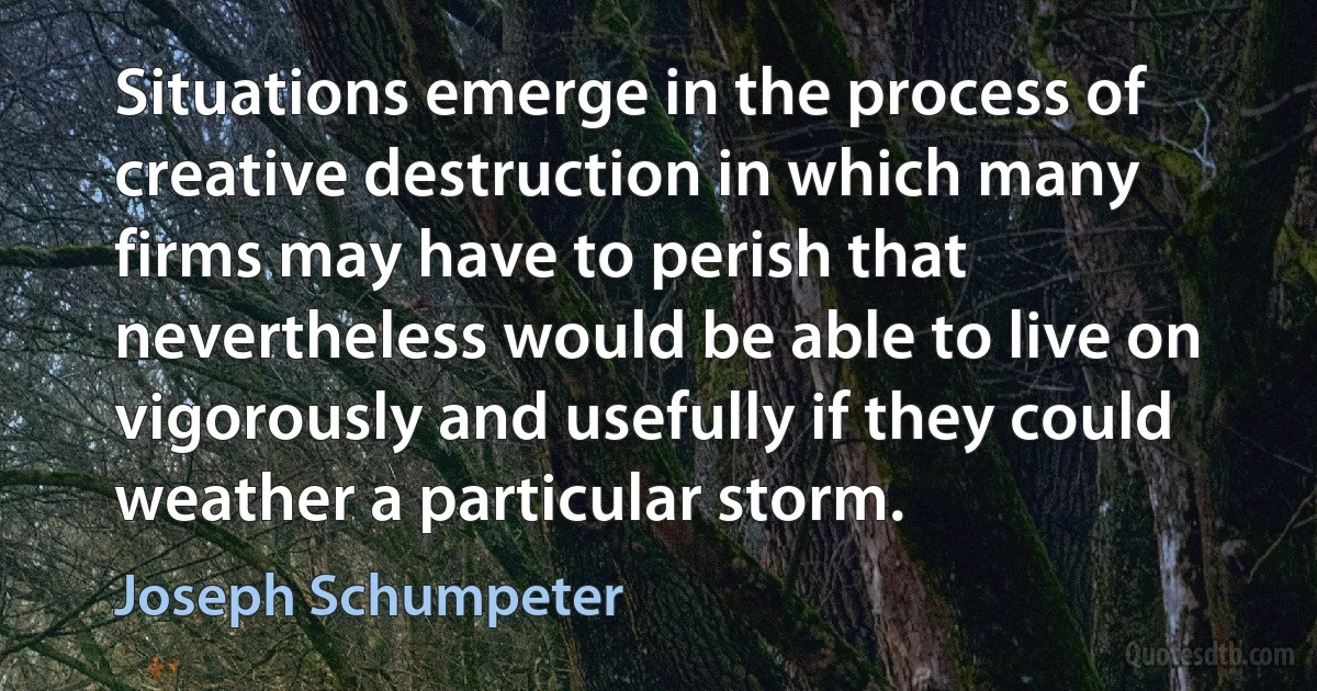 Situations emerge in the process of creative destruction in which many firms may have to perish that nevertheless would be able to live on vigorously and usefully if they could weather a particular storm. (Joseph Schumpeter)