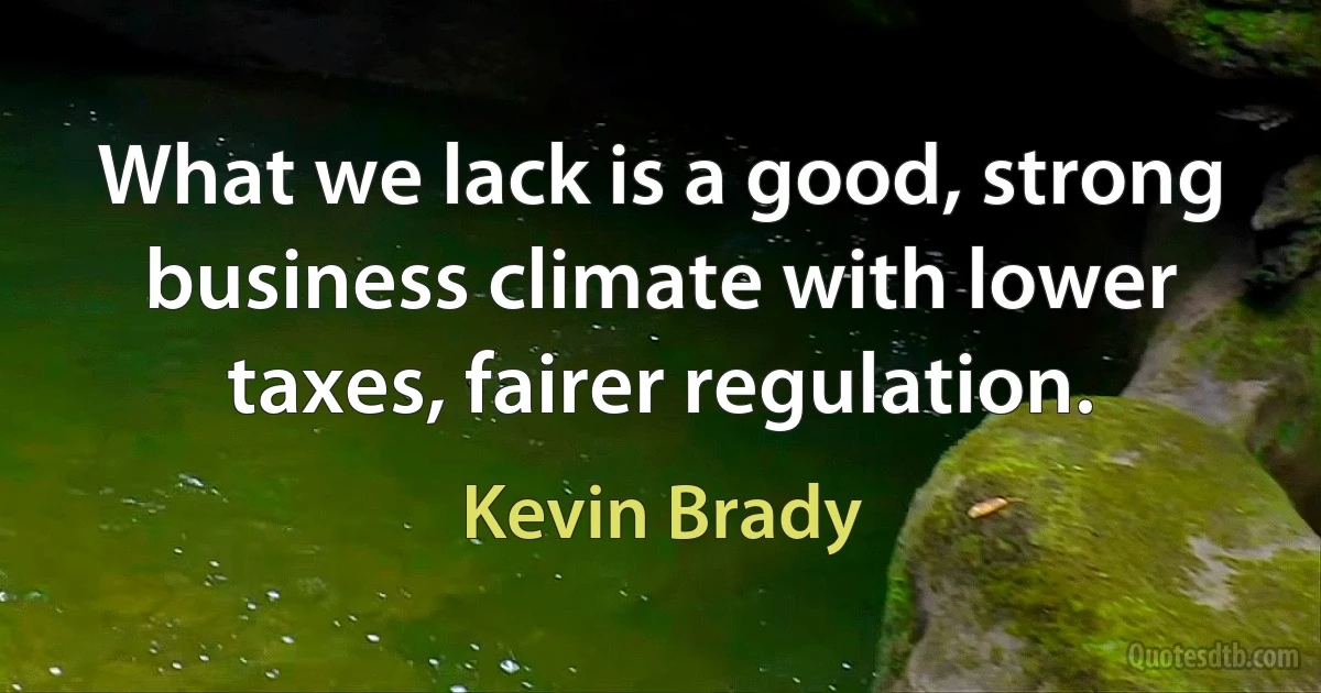 What we lack is a good, strong business climate with lower taxes, fairer regulation. (Kevin Brady)