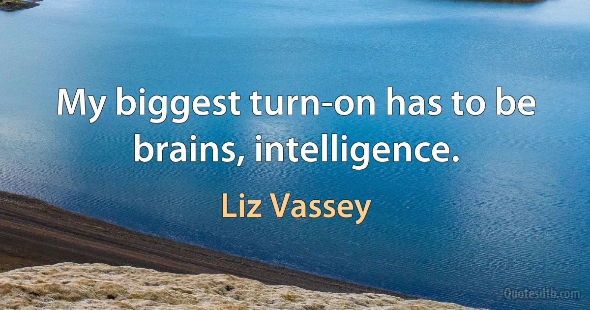 My biggest turn-on has to be brains, intelligence. (Liz Vassey)