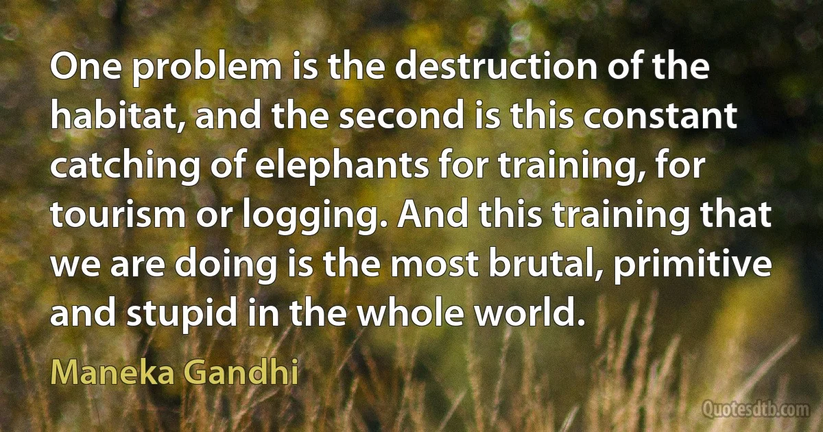 One problem is the destruction of the habitat, and the second is this constant catching of elephants for training, for tourism or logging. And this training that we are doing is the most brutal, primitive and stupid in the whole world. (Maneka Gandhi)