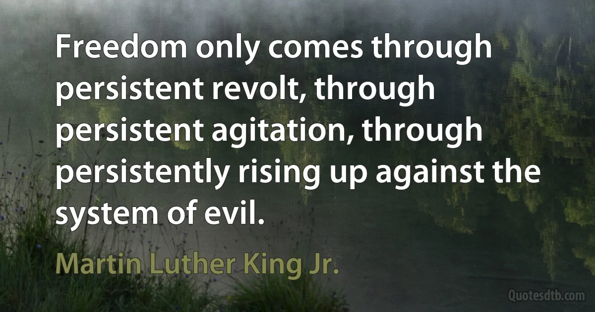 Freedom only comes through persistent revolt, through persistent agitation, through persistently rising up against the system of evil. (Martin Luther King Jr.)