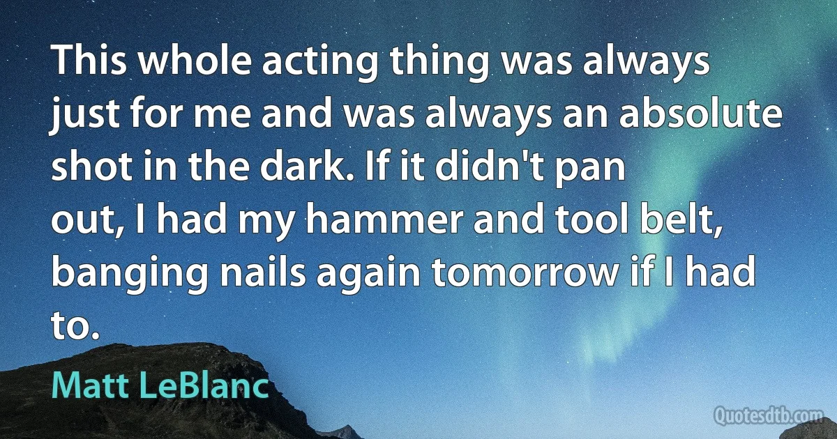 This whole acting thing was always just for me and was always an absolute shot in the dark. If it didn't pan out, I had my hammer and tool belt, banging nails again tomorrow if I had to. (Matt LeBlanc)