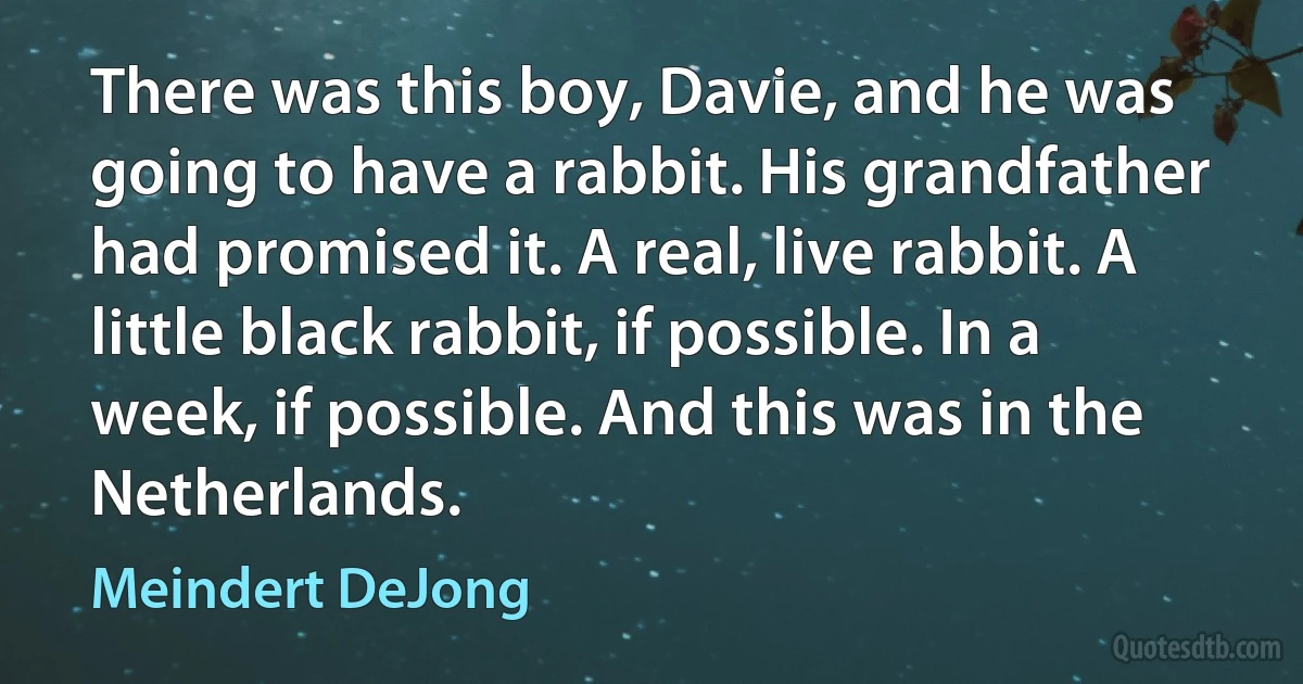 There was this boy, Davie, and he was going to have a rabbit. His grandfather had promised it. A real, live rabbit. A little black rabbit, if possible. In a week, if possible. And this was in the Netherlands. (Meindert DeJong)