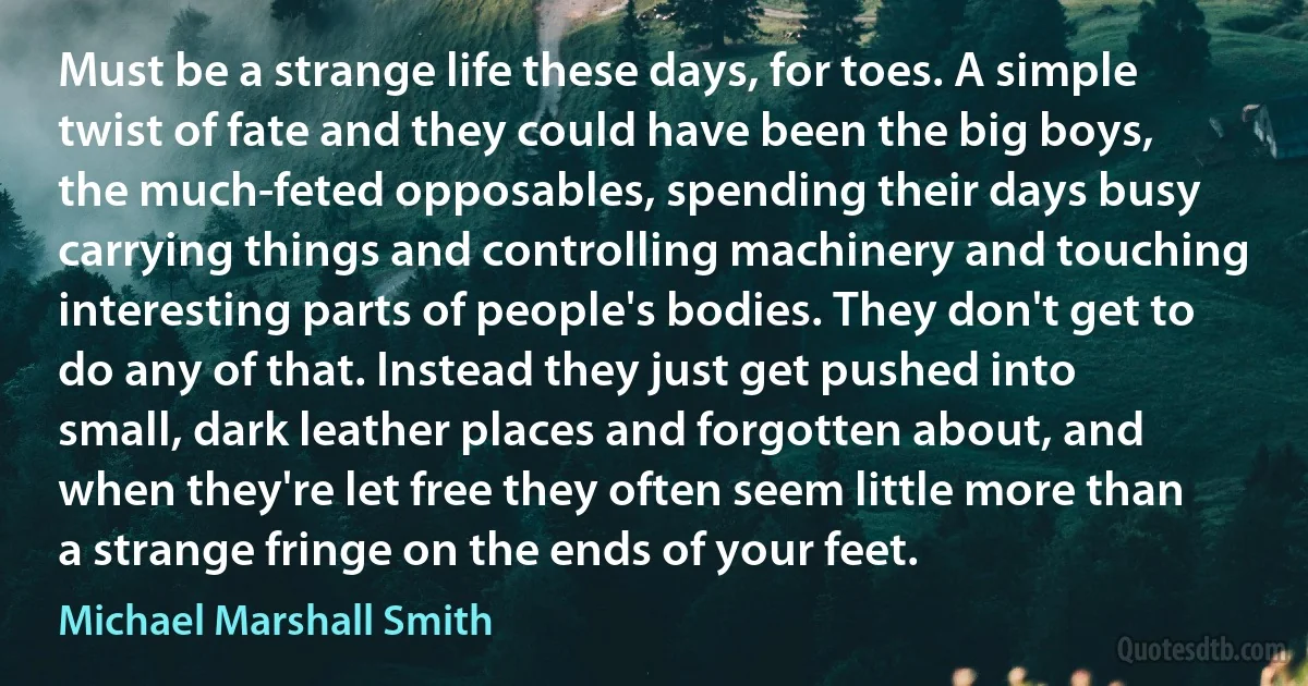 Must be a strange life these days, for toes. A simple twist of fate and they could have been the big boys, the much-feted opposables, spending their days busy carrying things and controlling machinery and touching interesting parts of people's bodies. They don't get to do any of that. Instead they just get pushed into small, dark leather places and forgotten about, and when they're let free they often seem little more than a strange fringe on the ends of your feet. (Michael Marshall Smith)