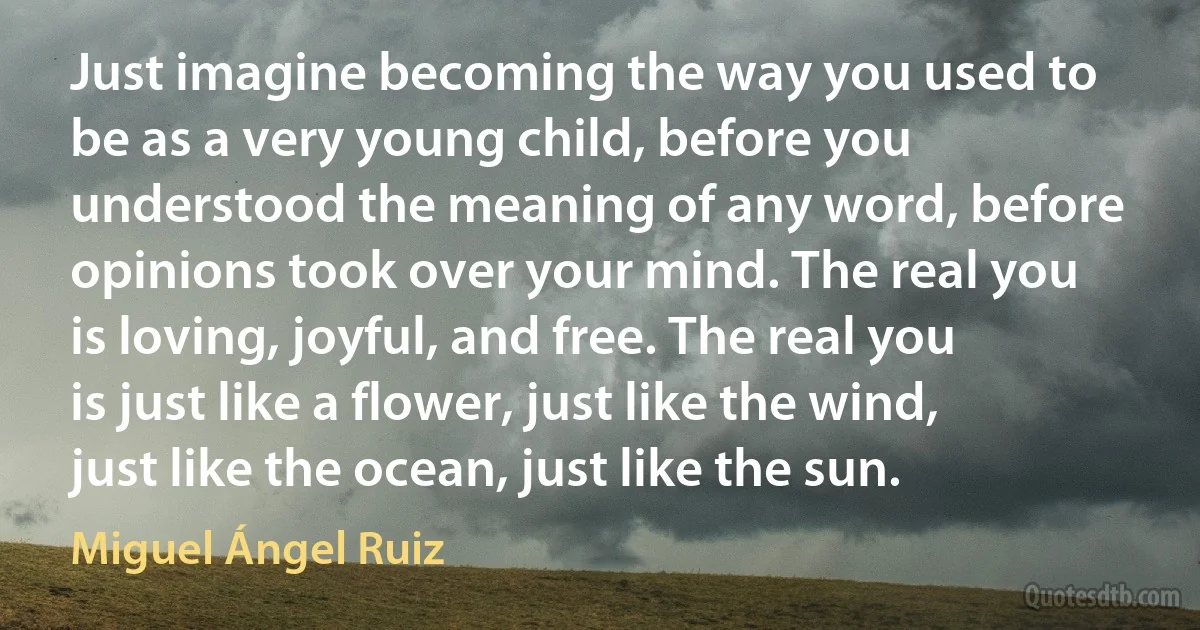 Just imagine becoming the way you used to be as a very young child, before you understood the meaning of any word, before opinions took over your mind. The real you is loving, joyful, and free. The real you is just like a flower, just like the wind, just like the ocean, just like the sun. (Miguel Ángel Ruiz)