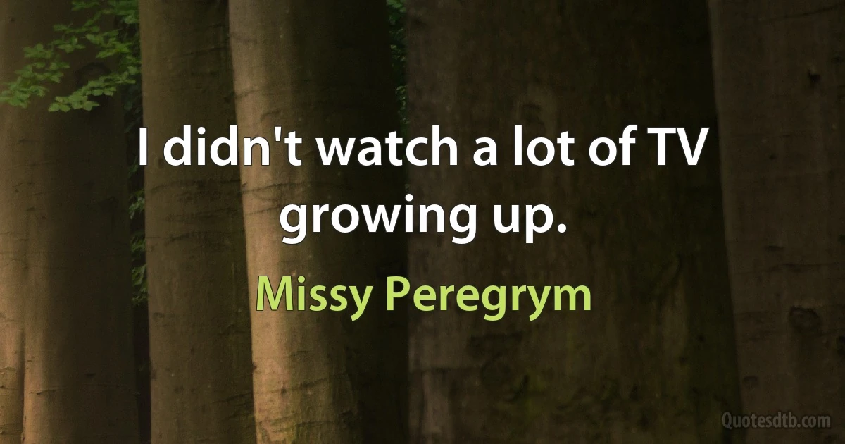 I didn't watch a lot of TV growing up. (Missy Peregrym)