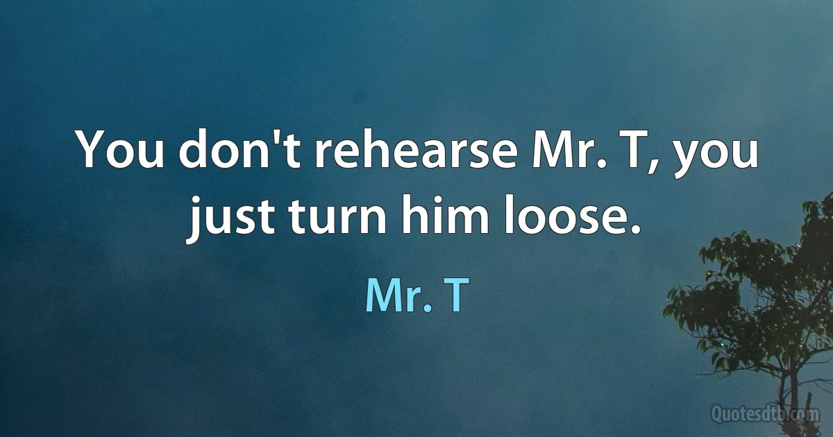 You don't rehearse Mr. T, you just turn him loose. (Mr. T)