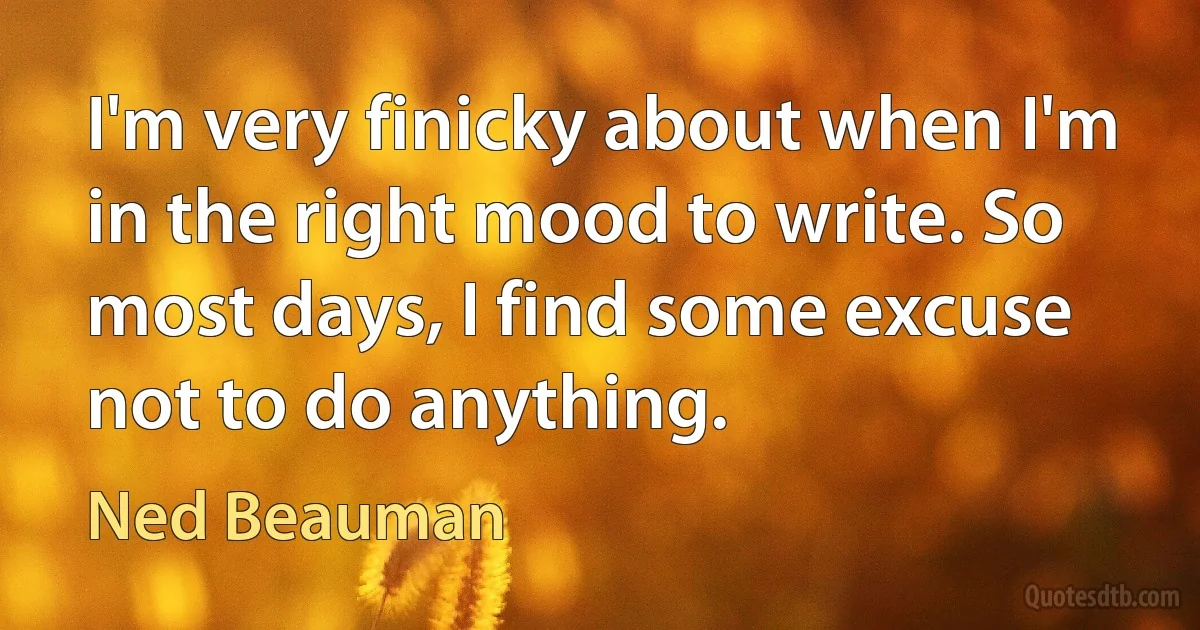 I'm very finicky about when I'm in the right mood to write. So most days, I find some excuse not to do anything. (Ned Beauman)