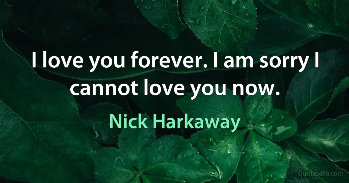 I love you forever. I am sorry I cannot love you now. (Nick Harkaway)