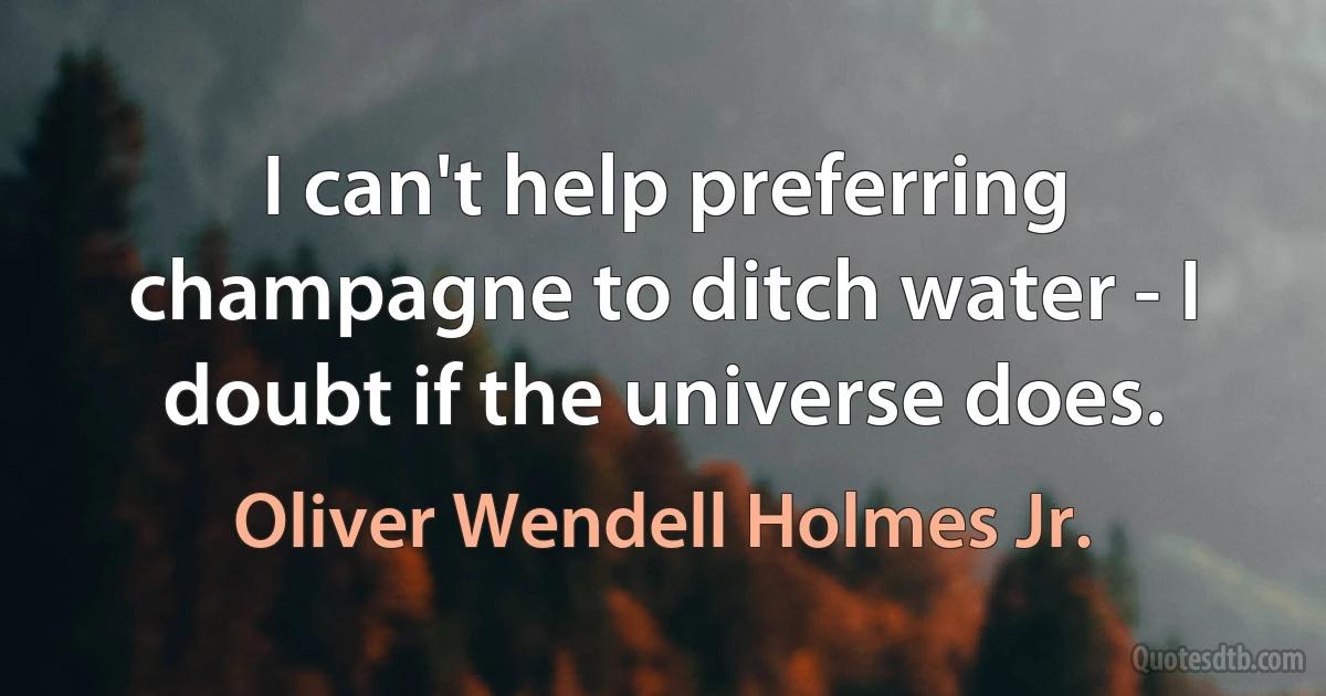 I can't help preferring champagne to ditch water - I doubt if the universe does. (Oliver Wendell Holmes Jr.)