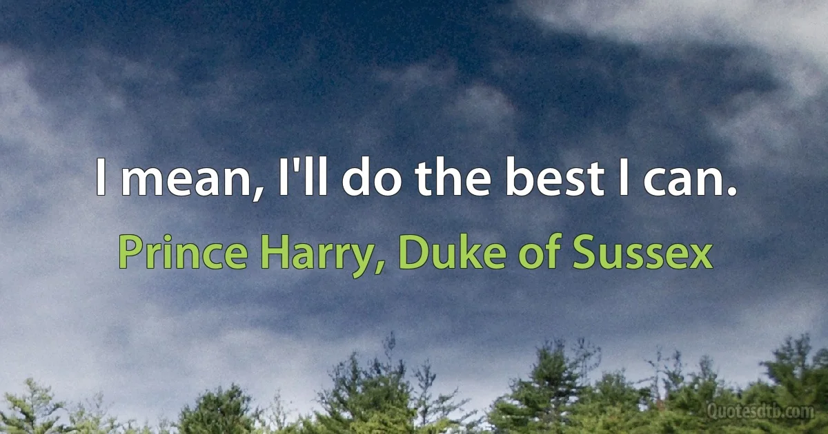 I mean, I'll do the best I can. (Prince Harry, Duke of Sussex)