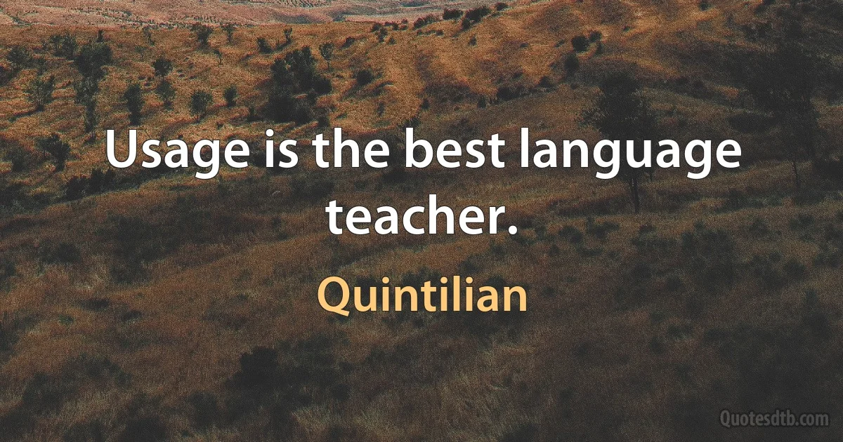 Usage is the best language teacher. (Quintilian)