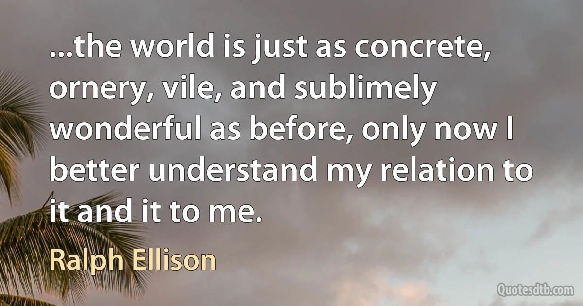 ...the world is just as concrete, ornery, vile, and sublimely wonderful as before, only now I better understand my relation to it and it to me. (Ralph Ellison)