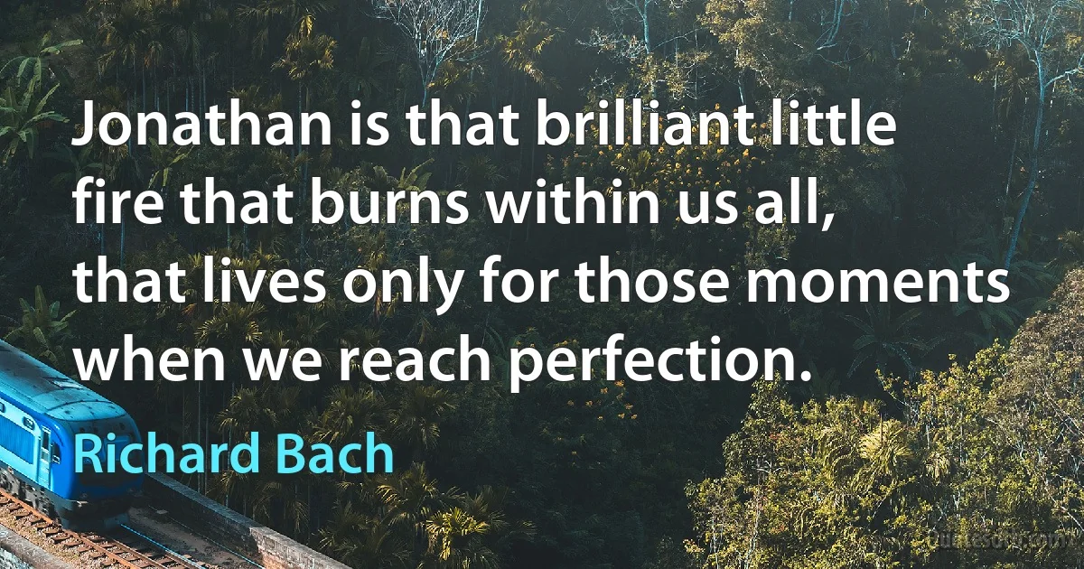 Jonathan is that brilliant little fire that burns within us all, that lives only for those moments when we reach perfection. (Richard Bach)