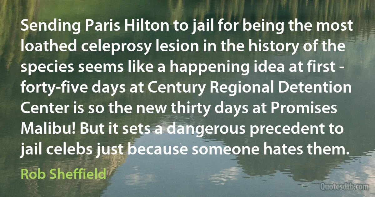 Sending Paris Hilton to jail for being the most loathed celeprosy lesion in the history of the species seems like a happening idea at first - forty-five days at Century Regional Detention Center is so the new thirty days at Promises Malibu! But it sets a dangerous precedent to jail celebs just because someone hates them. (Rob Sheffield)