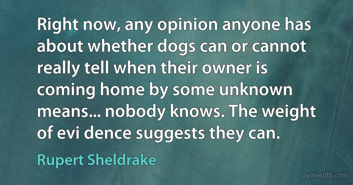 Right now, any opinion anyone has about whether dogs can or cannot really tell when their owner is coming home by some unknown means... nobody knows. The weight of evi dence suggests they can. (Rupert Sheldrake)