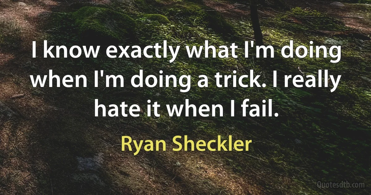 I know exactly what I'm doing when I'm doing a trick. I really hate it when I fail. (Ryan Sheckler)