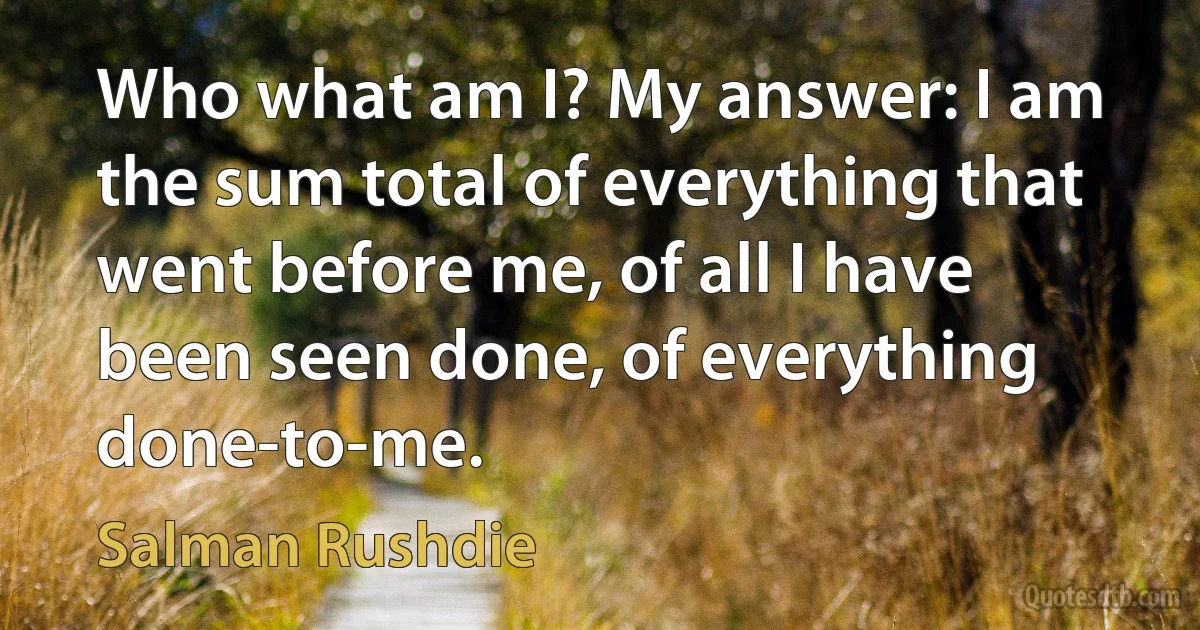 Who what am I? My answer: I am the sum total of everything that went before me, of all I have been seen done, of everything done-to-me. (Salman Rushdie)