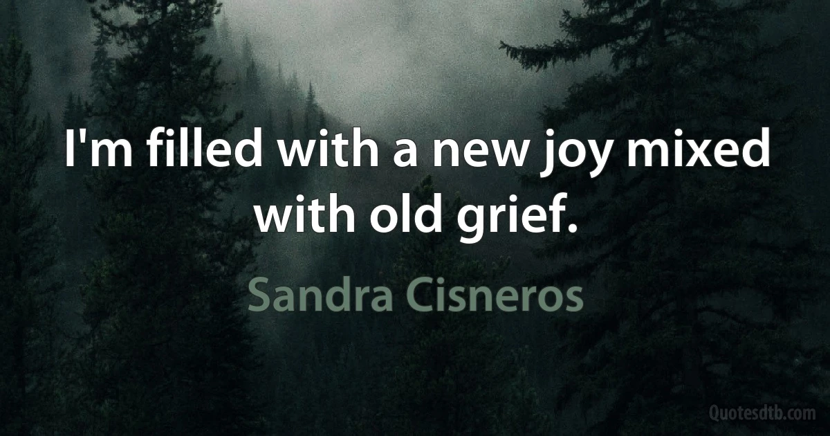 I'm filled with a new joy mixed with old grief. (Sandra Cisneros)