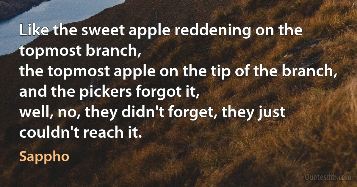 Like the sweet apple reddening on the topmost branch,
the topmost apple on the tip of the branch,
and the pickers forgot it,
well, no, they didn't forget, they just couldn't reach it. (Sappho)