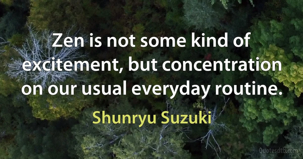 Zen is not some kind of excitement, but concentration on our usual everyday routine. (Shunryu Suzuki)