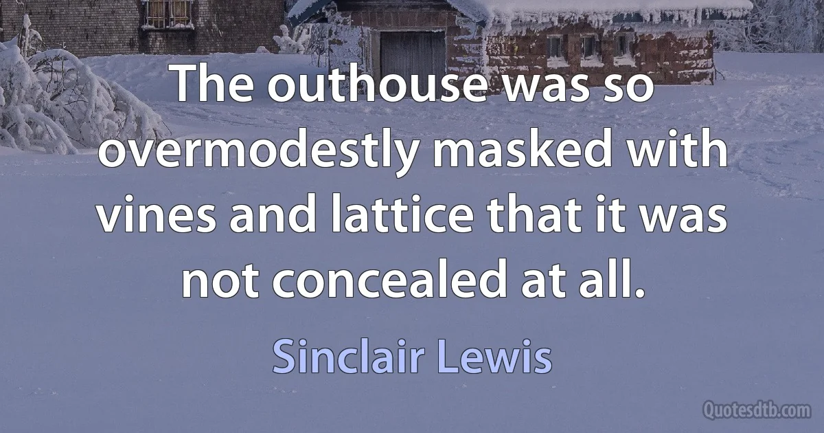 The outhouse was so overmodestly masked with vines and lattice that it was not concealed at all. (Sinclair Lewis)