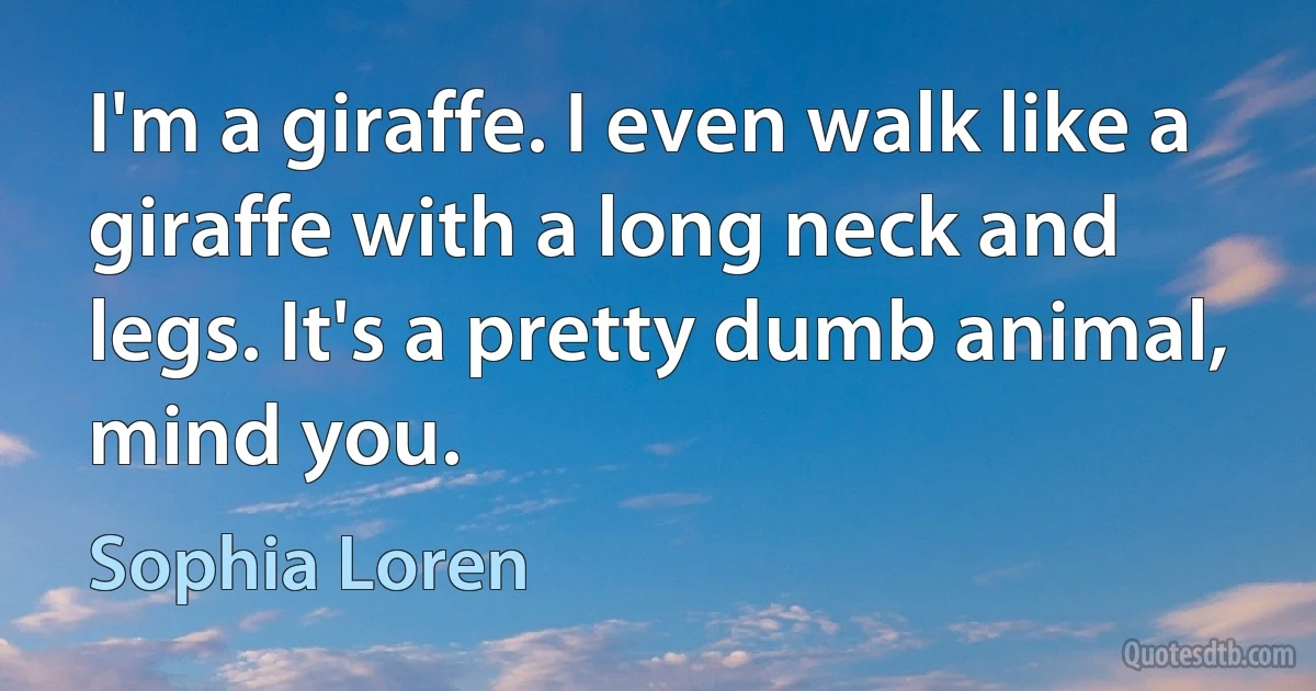 I'm a giraffe. I even walk like a giraffe with a long neck and legs. It's a pretty dumb animal, mind you. (Sophia Loren)