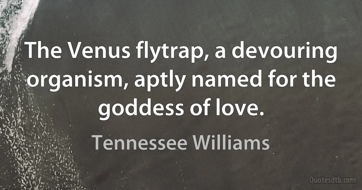 The Venus flytrap, a devouring organism, aptly named for the goddess of love. (Tennessee Williams)