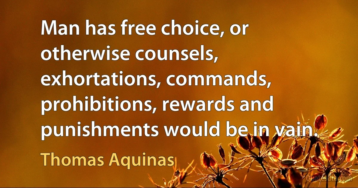 Man has free choice, or otherwise counsels, exhortations, commands, prohibitions, rewards and punishments would be in vain. (Thomas Aquinas)