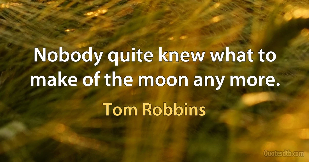 Nobody quite knew what to make of the moon any more. (Tom Robbins)