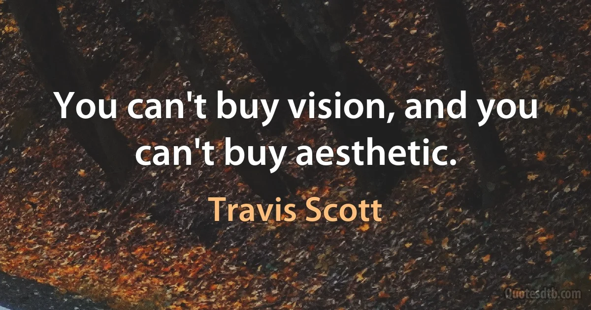 You can't buy vision, and you can't buy aesthetic. (Travis Scott)