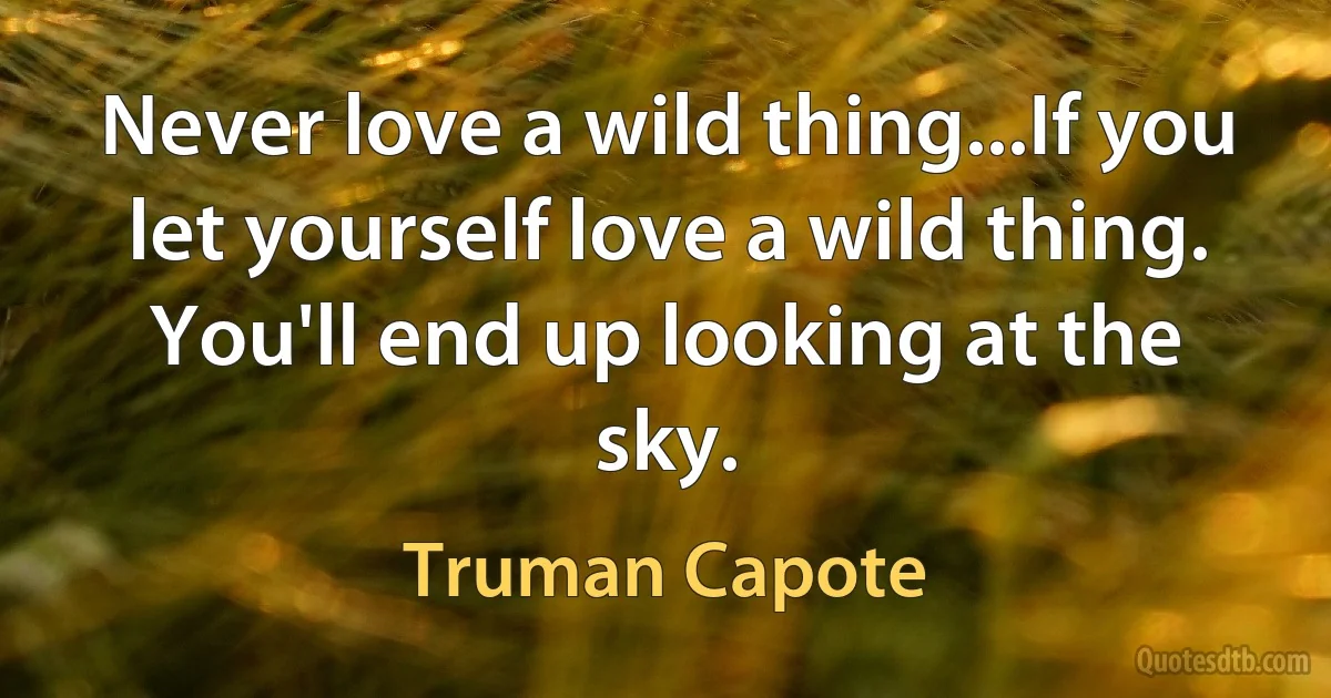 Never love a wild thing...If you let yourself love a wild thing. You'll end up looking at the sky. (Truman Capote)